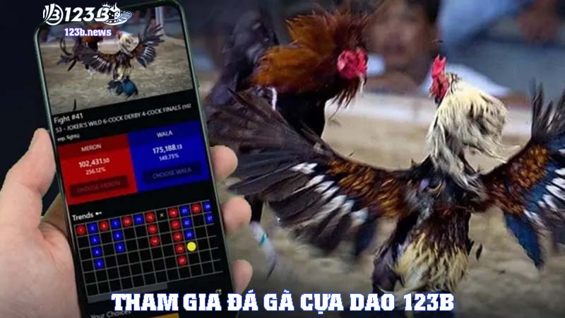 Tham gia cá cược đá gà cựa dao siêu hấp dẫn