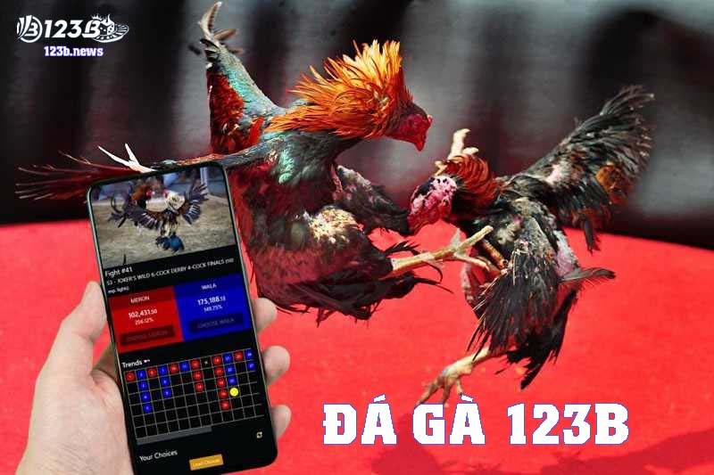 Người chơi tìm hiểu chi tiết về đá gà 123B